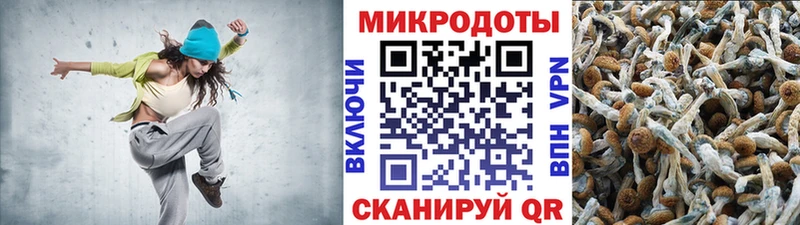 Галлюциногенные грибы MAGIC MUSHROOMS  Купить  Волоколамск 